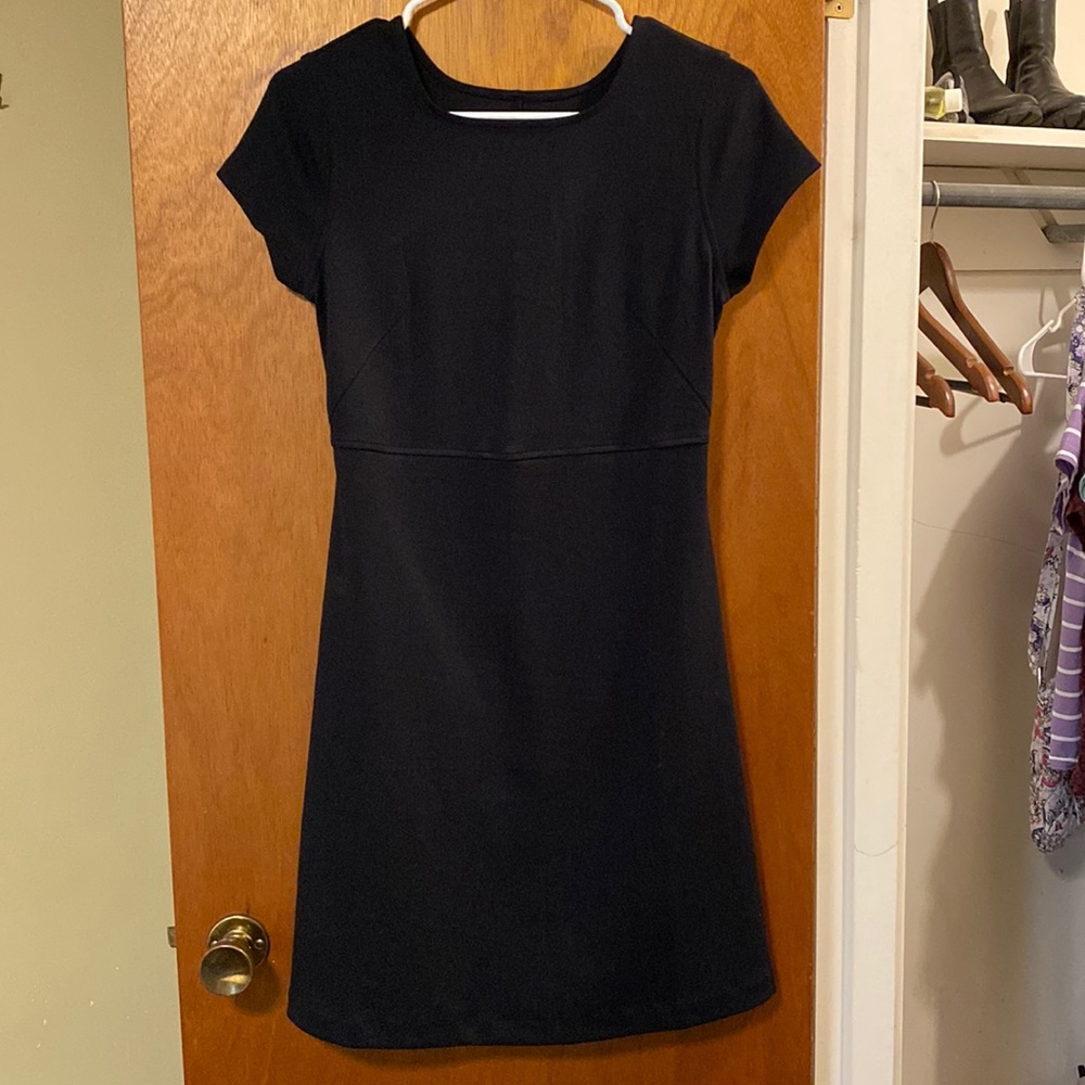 Everlane Party Of One Dress